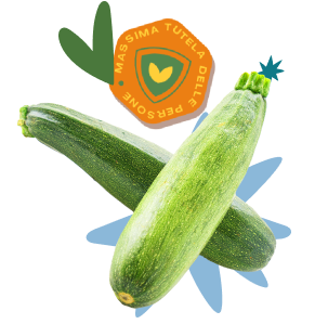 Zucchina